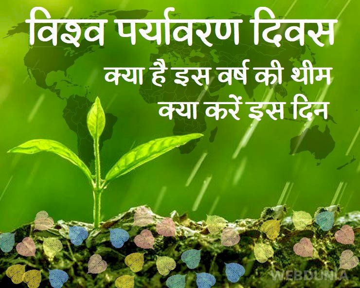 World Environment Day दिवस कल: कोरोना ने सीखा दिया पर्यावरण दोस्ती करना, लोग अपने घरों में तैयार कर रहे हैं गार्डन, कल लेंगे सवा तीन महीने में 11 लाख पौधे लगाने का संकल्प