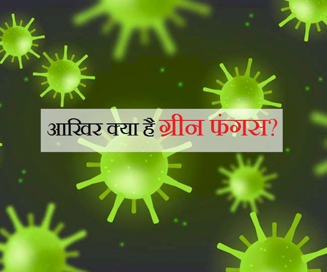 इंदौर में देश का पहला ग्रीन फंगस का केस आया सामने, एयरलिफ्ट कर भेजा मुंबई