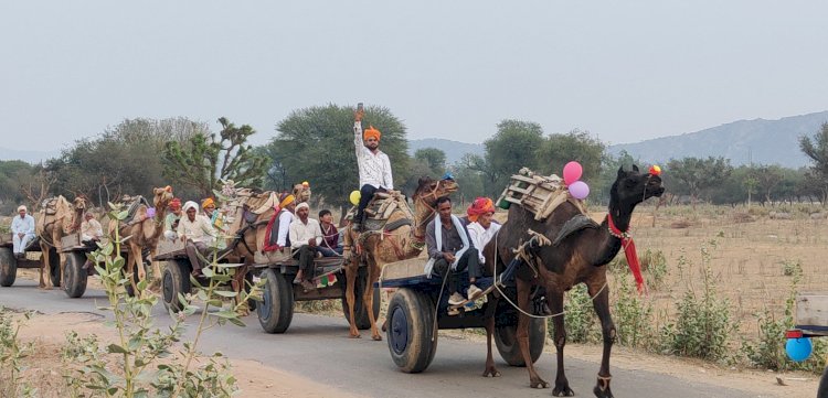 ऊंटगाड़ियों से निकली अनूठी बारात, पहाड़िला में जीवंत हुई पुरानी परंपरा